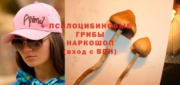 тгк Белокуриха