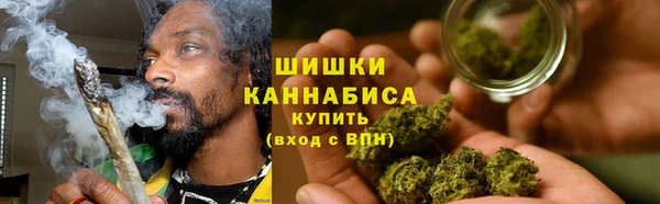 гашик Богданович