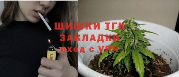 гашик Богданович