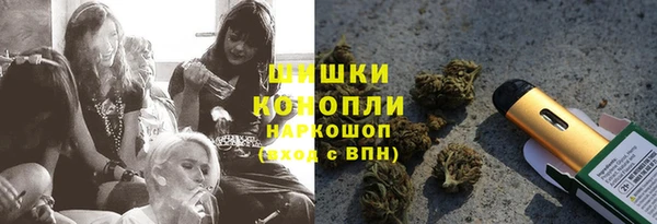 тгк Белокуриха