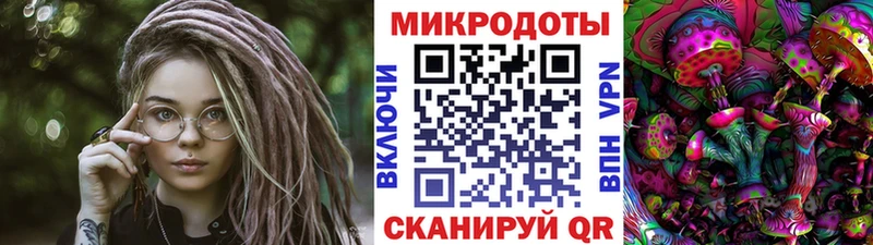 Купить  Микунь  Галлюциногенные грибы Magic Shrooms 